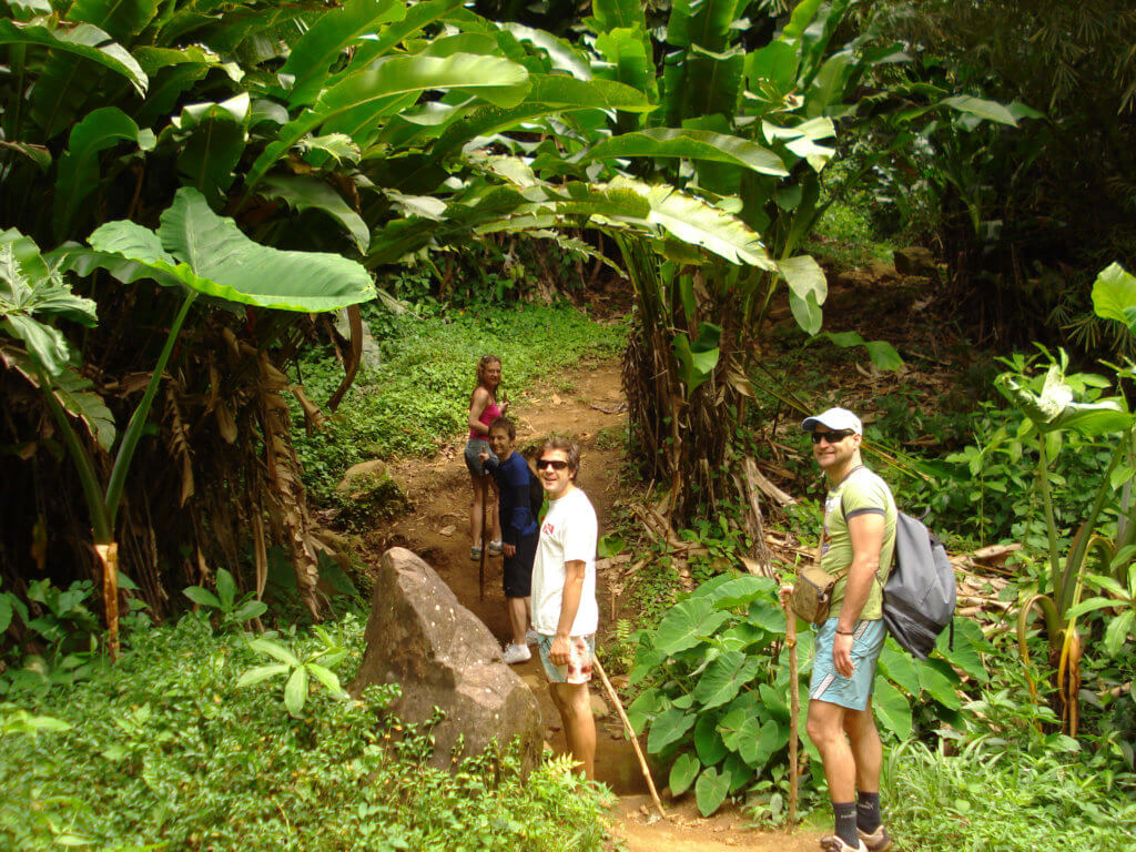 rainforest hiking in Grenda