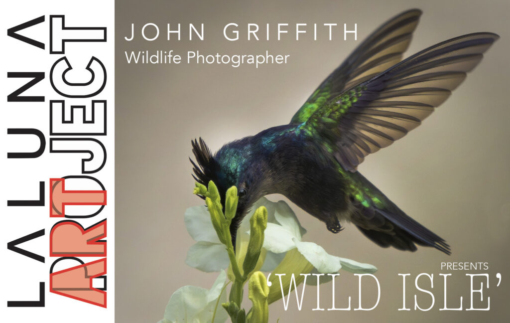John Griffith wildlife photography